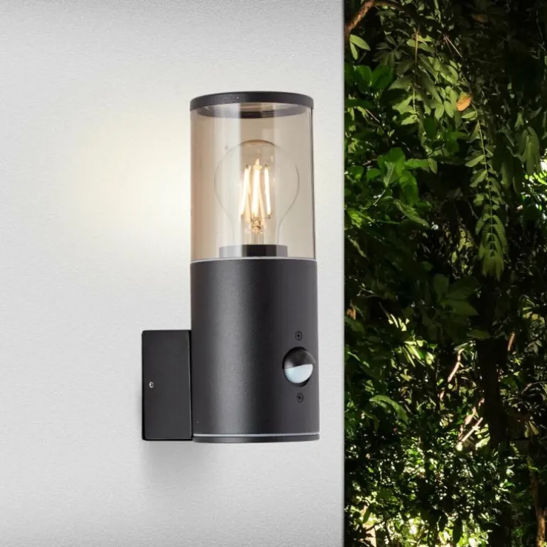 Applique murale d'extérieur Brilliant Sergioro Anthracite, 1 lumière, Détecteur de mouvement