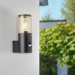 Applique murale d'extérieur Brilliant Sergioro Anthracite, 1 lumière, Détecteur de mouvement
