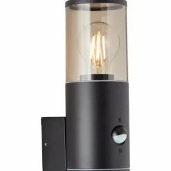 Applique murale d'extérieur Brilliant Sergioro Anthracite, 1 lumière, Détecteur de mouvement