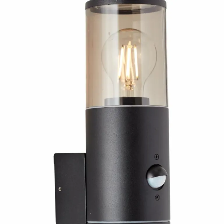 Applique murale d'extérieur Brilliant Sergioro Anthracite, 1 lumière, Détecteur de mouvement