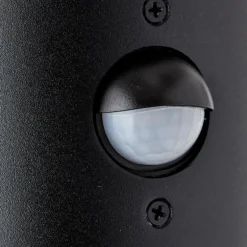 Applique murale d'extérieur Brilliant Sergioro Anthracite, 1 lumière, Détecteur de mouvement