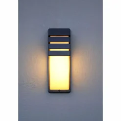 Applique murale d'extérieur Lutec CITY Anthracite, 1 lumière