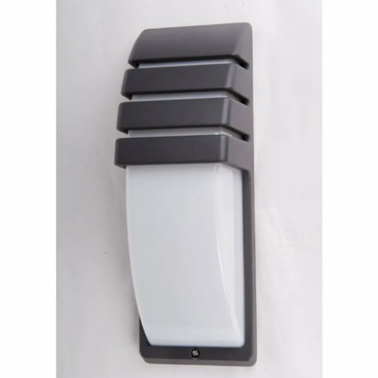 Applique murale d'extérieur Lutec CITY Anthracite, 1 lumière