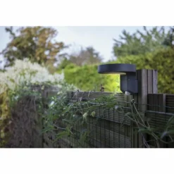 Applique murale d'extérieur Lutec DISO LED Anthracite, 1 lumière, Détecteur de mouvement