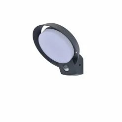 Applique murale d'extérieur Lutec POLO LED Anthracite, 1 lumière, Détecteur de mouvement