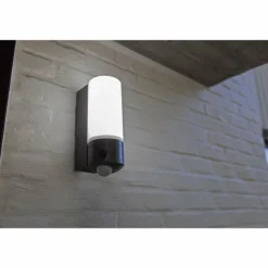 Applique murale d'extérieur Lutec POLLUX LED Anthracite, 1 lumière, Détecteur de mouvement
