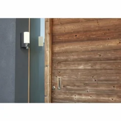 Applique murale d'extérieur Lutec POLLUX LED Anthracite, 1 lumière, Détecteur de mouvement