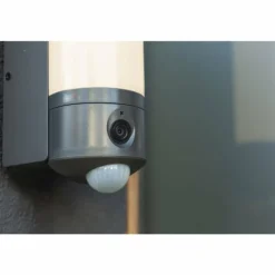 Applique murale d'extérieur Lutec POLLUX LED Anthracite, 1 lumière, Détecteur de mouvement