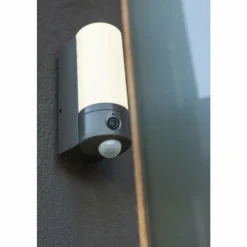 Applique murale d'extérieur Lutec POLLUX LED Anthracite, 1 lumière, Détecteur de mouvement