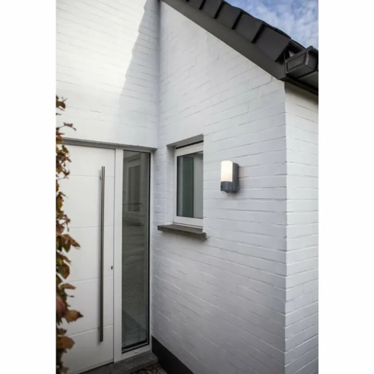 Applique murale d'extérieur Lutec POLLUX LED Anthracite, 1 lumière, Détecteur de mouvement