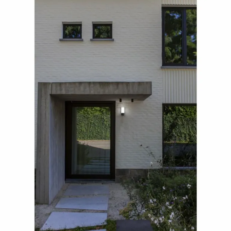 Applique murale d'extérieur Lutec POLLUX LED Anthracite, 1 lumière, Détecteur de mouvement