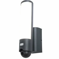 Applique murale d'extérieur Lutec ELARA LED Anthracite, 1 lumière, Détecteur de mouvement