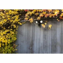 Applique murale d'extérieur Lutec DRACO LED Noir, 1 lumière, Détecteur de mouvement