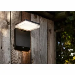 Applique murale d'extérieur Lutec MOZE LED Noir, 1 lumière, Détecteur de mouvement
