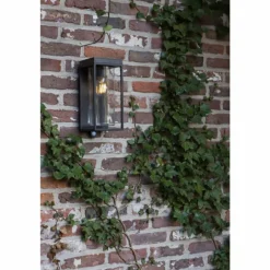 Applique murale d'extérieur Lutec FLAIR Noir, 1 lumière, Détecteur de mouvement