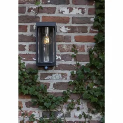 Applique murale d'extérieur Lutec FLAIR Noir, 1 lumière, Détecteur de mouvement