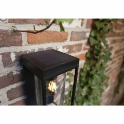 Applique murale d'extérieur Lutec FLAIR Noir, 1 lumière, Détecteur de mouvement