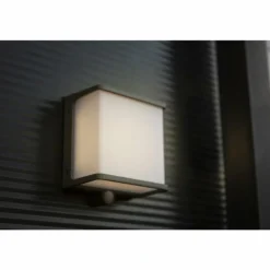 Applique murale d'extérieur Lutec DOBLO LED Anthracite, 1 lumière, Détecteur de mouvement