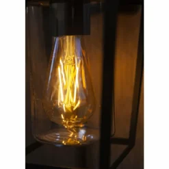 Applique murale d'extérieur Lutec WEST Noir, 1 lumière