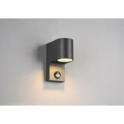 Applique murale d'extérieur Trio Roya Anthracite, 1 lumière, Détecteur de mouvement