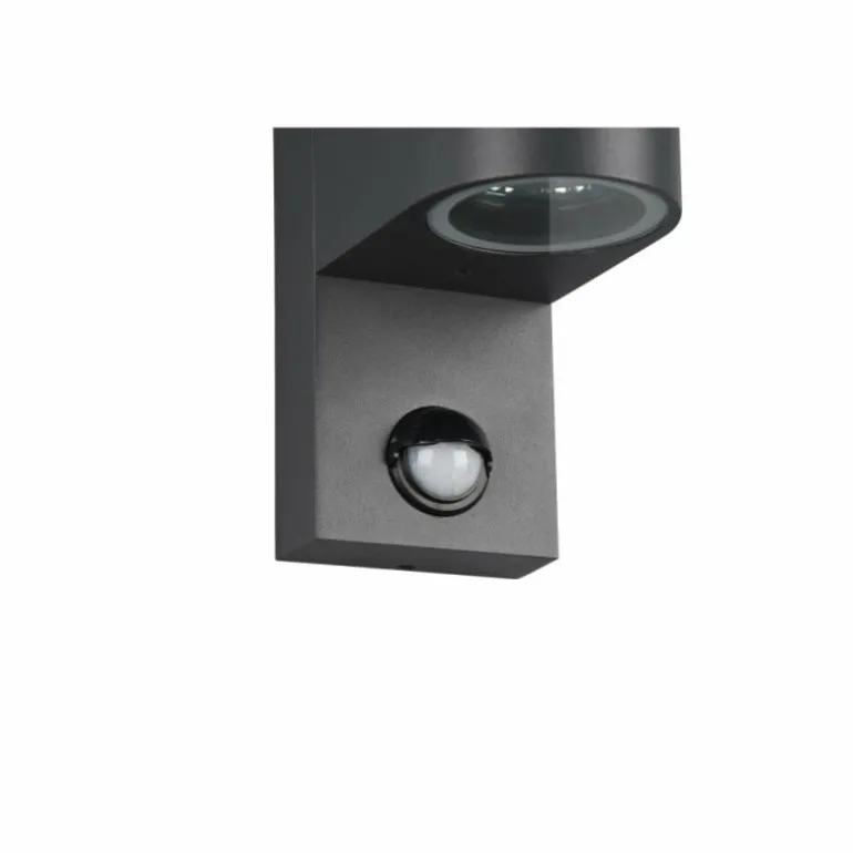 Applique murale d'extérieur Trio Roya Anthracite, 2 lumières, Détecteur de mouvement