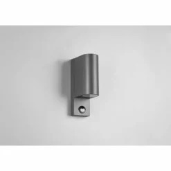 Applique murale d'extérieur Trio Roya Anthracite, 2 lumières, Détecteur de mouvement