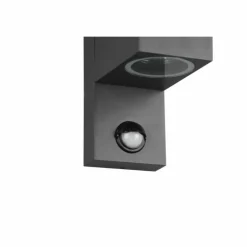 Applique murale d'extérieur Trio Roya Anthracite, 1 lumière, Détecteur de mouvement