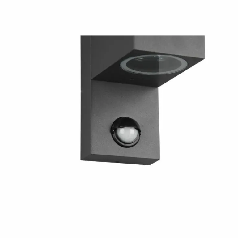 Applique murale d'extérieur Trio Roya Anthracite, 1 lumière, Détecteur de mouvement