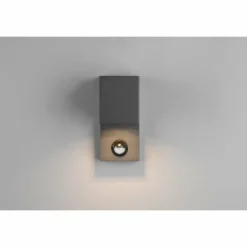 Applique murale d'extérieur Trio Roya Anthracite, 1 lumière, Détecteur de mouvement