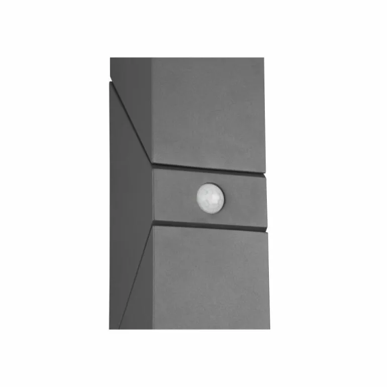 Applique murale d'extérieur Trio Avon LED Anthracite, 2 lumières, Détecteur de mouvement