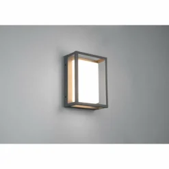 Applique murale d'extérieur Trio Witham LED Anthracite, 1 lumière