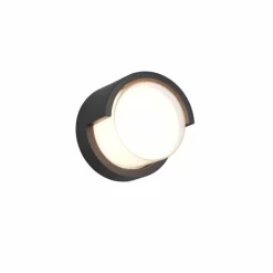 Applique murale d'extérieur Reality Puno LED Noir, 1 lumière