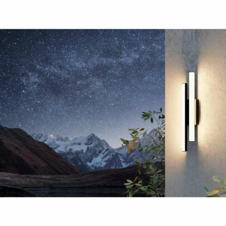 Applique murale d'extérieur Eglo SERRICELLA LED Noir, 2 lumières
