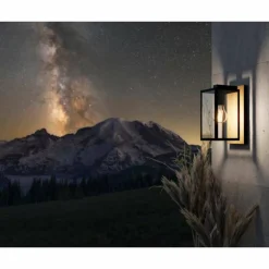 Applique murale d'extérieur Eglo BUDRONE Brun, Noir, 1 lumière