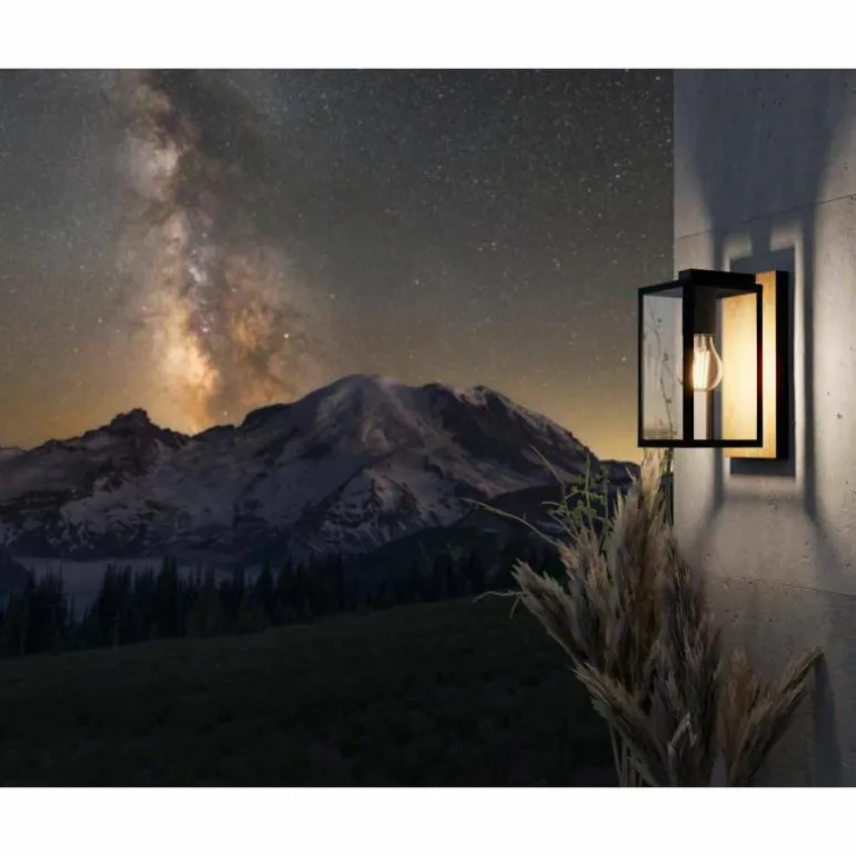 Applique murale d'extérieur Eglo BUDRONE Brun, Noir, 1 lumière