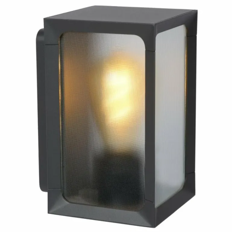 Applique murale d'extérieur Lucide CAGE LED Anthracite, 1 lumière