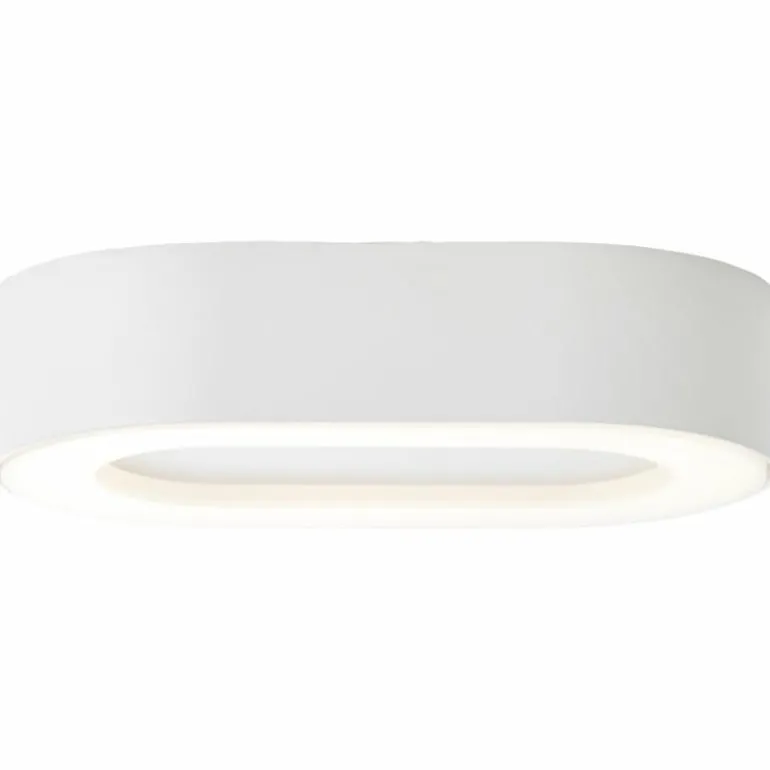 Applique murale d'extérieur Brilliant Whittaker LED Blanc, 1 lumière