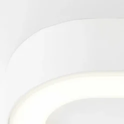 Applique murale d'extérieur Brilliant Whittaker LED Blanc, 1 lumière