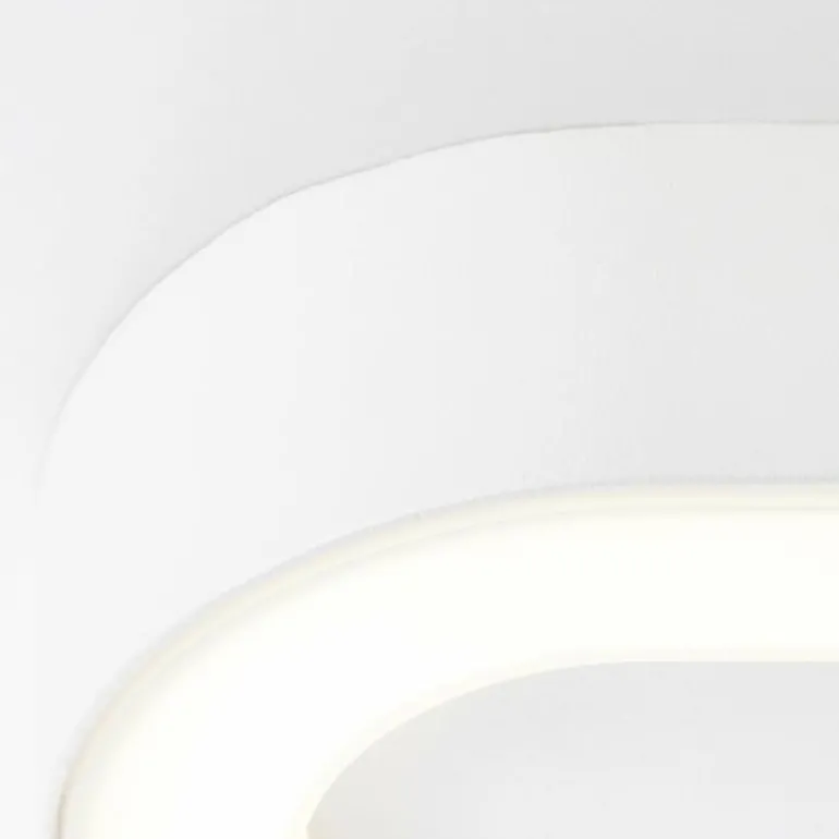 Applique murale d'extérieur Brilliant Whittaker LED Blanc, 1 lumière