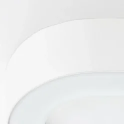 Applique murale d'extérieur Brilliant Whittaker LED Blanc, 1 lumière