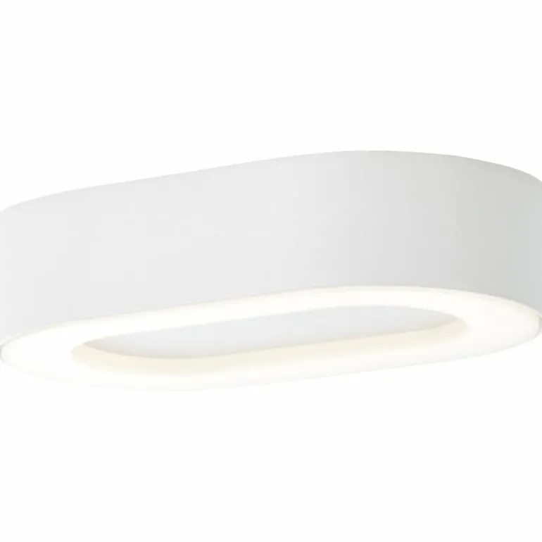 Applique murale d'extérieur Brilliant Whittaker LED Blanc, 1 lumière