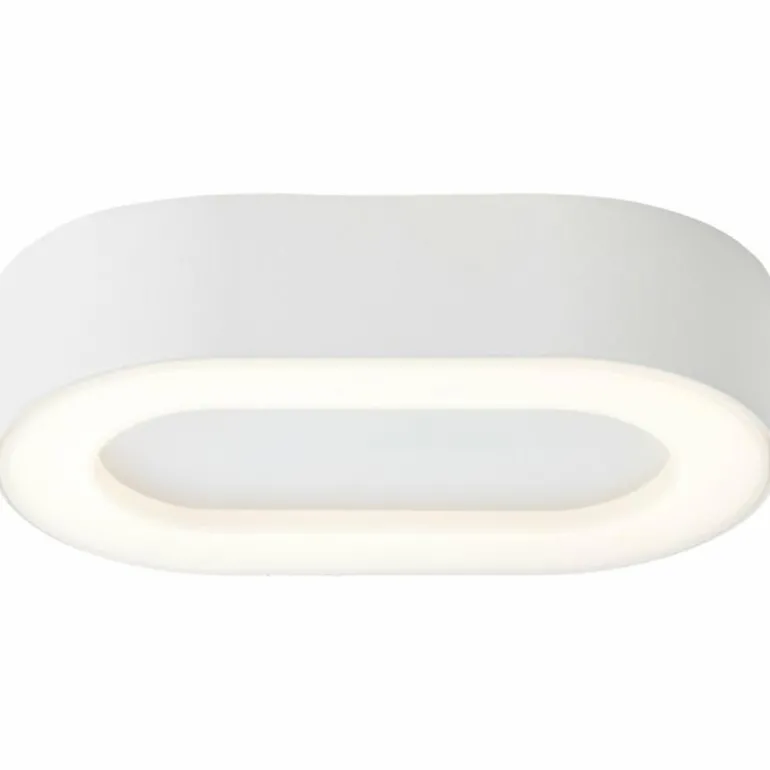 Applique murale d'extérieur Brilliant Whittaker LED Blanc, 1 lumière
