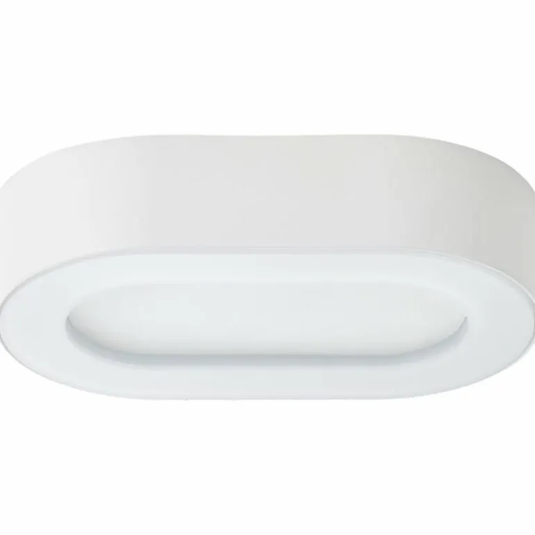 Applique murale d'extérieur Brilliant Whittaker LED Blanc, 1 lumière