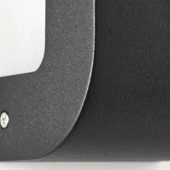 Applique murale d'extérieur Brilliant Burty LED Noir, 1 lumière