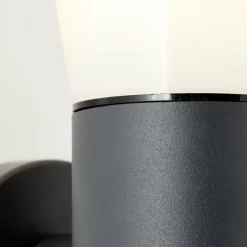 Applique murale d'extérieur Brilliant Cliffi Anthracite, 1 lumière