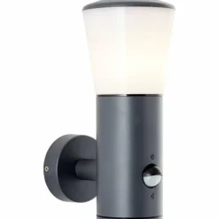 Applique murale d'extérieur Brilliant Cliffi Anthracite, 1 lumière, Détecteur de mouvement