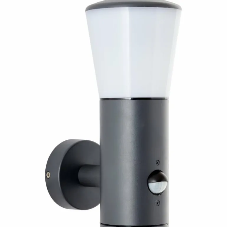 Applique murale d'extérieur Brilliant Cliffi Anthracite, 1 lumière, Détecteur de mouvement