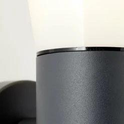 Applique murale d'extérieur Brilliant Cliffi Anthracite, 1 lumière, Détecteur de mouvement