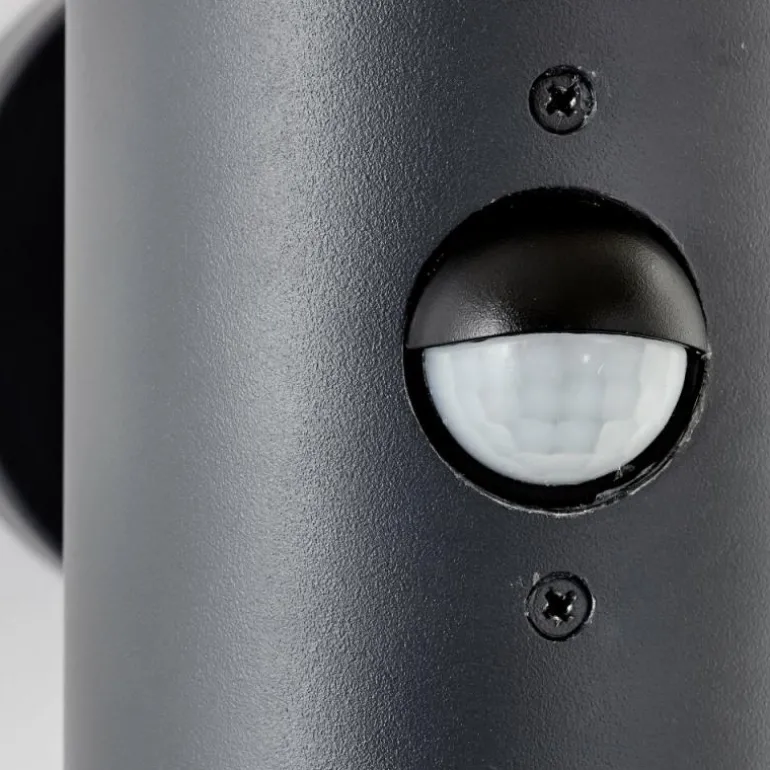 Applique murale d'extérieur Brilliant Cliffi Anthracite, 1 lumière, Détecteur de mouvement