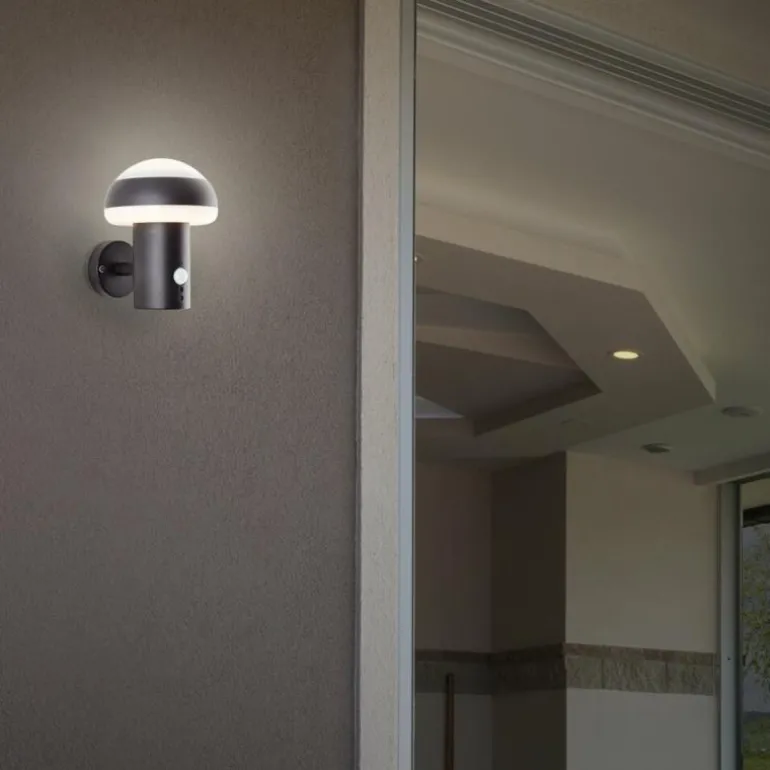 Applique murale d'extérieur Brilliant Ilton LED Noir, 1 lumière, Détecteur de mouvement
